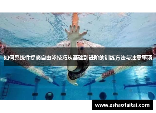 如何系统性提高自由泳技巧从基础到进阶的训练方法与注意事项