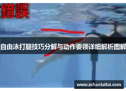 自由泳打腿技巧分解与动作要领详细解析图解