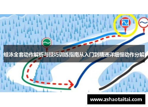 蛙泳全套动作解析与技巧训练指南从入门到精通详细慢动作分解